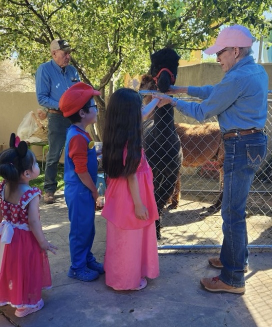 Children in Halloween costumes next to alpaca